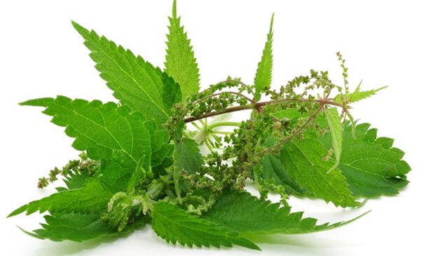 nettle to increase potency