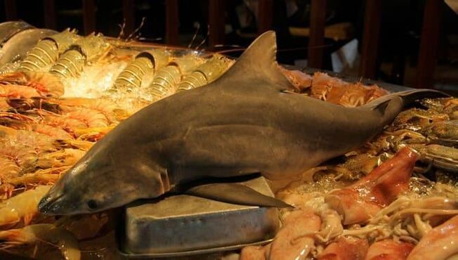 Shark meat to increase potential