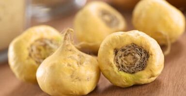 Maca root enhances male physiology