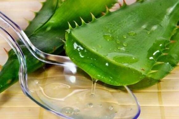 Aloe vera juice helps in strong erection