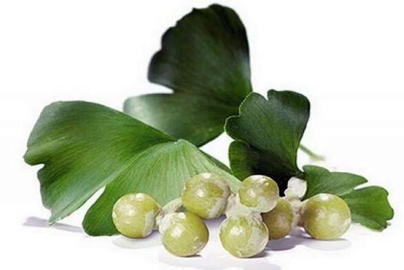 Ginkgo Biloba enhances male physiology