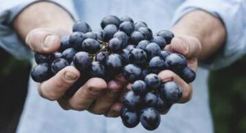 Grapes help strengthen an erection