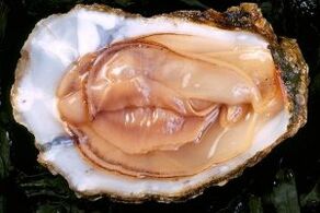 Oyster is a powerful aphrodisiac