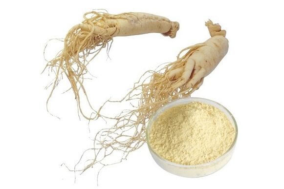 Ginseng root enhances libido and improves erection